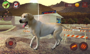 Labrador Simulator screenshot 2