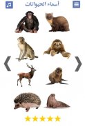 تعليم اصوات الحيوانات و صور و اسماء الحيوانات screenshot 8