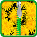 Dandelion Zipper Lock Screen