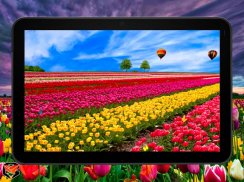 Flower Fields Live Wallpaper screenshot 8