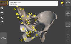 Anatomia per l'Artista 3D screenshot 17