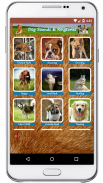 Dog Sounds Ringtones screenshot 3