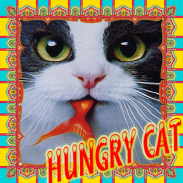 Cute hungry cat screenshot 2