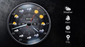 Real-time weather display screenshot 9