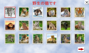 パズル - 犬 screenshot 11