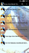 Kicau Anis Merah Teler Juara screenshot 0