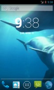 Video Wallpapers: Amazing Dolphins HD screenshot 1