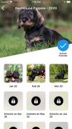 DogDays | Puppies & Dogs Calendar Manager & Games screenshot 6