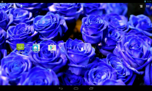 Hoa hồng xanh biếc screenshot 12