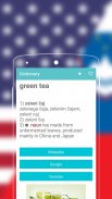 English to Slovene Dictionary screenshot 1