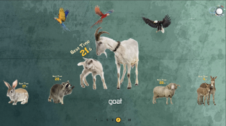 Animal Puzzles screenshot 3