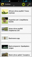 Citrus Pests Key screenshot 1