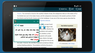 SardamDict Pro + Camera Dictionary screenshot 3