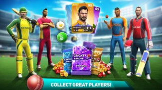 Cricket League screenshot 7