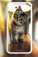 Kitten Wallpaper screenshot 5