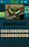 Animal Kingdom Guessing Game screenshot 10