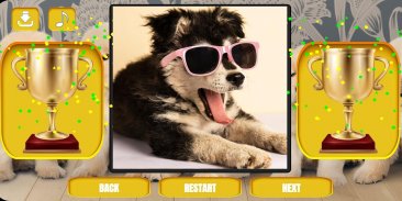 Dogs & puppies jigsaw puzzles screenshot 1