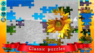 Puzzles for adults offline screenshot 0