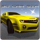 3D Car Sim Icon
