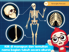 Marbel Anatomi Manusia SD 5 screenshot 3
