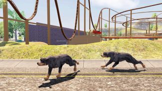 Rottweiler Dog Simulator screenshot 2