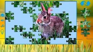 Puzzles for adults the nature screenshot 0