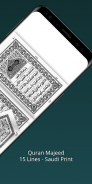 Al Quran 3D (Hafizi 15 lines) screenshot 1