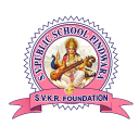 SV Public School Pindwara Icon