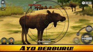 Wild Hunt: Permainan Berburu screenshot 4