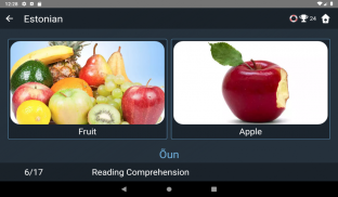 Estonian Language Tests screenshot 6