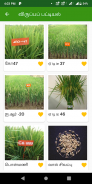 Paddy Varieties screenshot 10