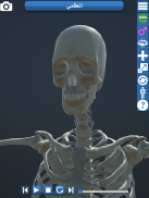 Anatomy 3D screenshot 7