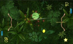 Zwei Spieler Fruit Shoot screenshot 0
