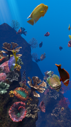 Ocean Aquarium screenshot 13