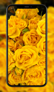 Colorful Roses Wallpapers screenshot 0