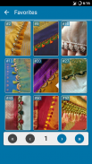 Saree Kuchu Designs screenshot 4