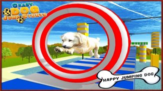 Crazy Dog Jump Stunt Sim 3D screenshot 12