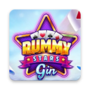 Classic Gin Rummy - Card Game