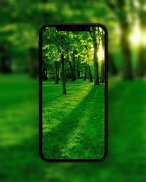 Green Wallpapers HD screenshot 3