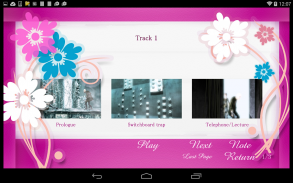 TMPGEnc PGMX PLAYER forAndroid screenshot 4