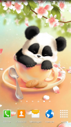 Sleepy Panda Wallpaper screenshot 1