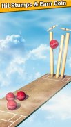 Top Cricket Ball Slope Game screenshot 2