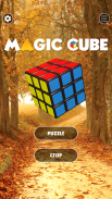 Magic Cube Puzzle screenshot 0