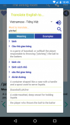 English Vocabulary Daily - DLV screenshot 4