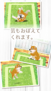 癒しの子犬育成ゲーム〜柴犬編〜 screenshot 2