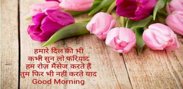 Hindi Good Morning Wishes screenshot 10