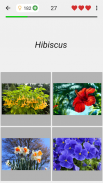 Flowers - Botanical Quiz about Beautiful Plants screenshot 1