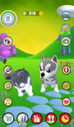 Talking Husky Dog screenshot 19