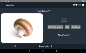 Yoruba Language Tests screenshot 5