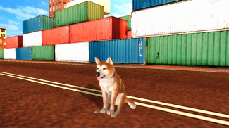 Akita Dog Simulator screenshot 7